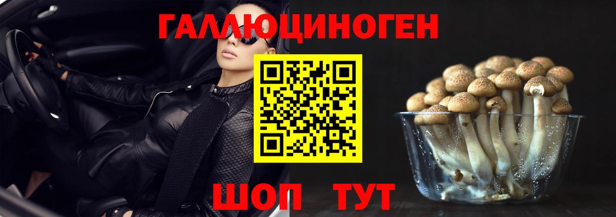 Алейск  Галлюциногенные грибы Magic Shrooms  Галлюциногенные грибы GOLDEN TEACHER  Вход с VPN 