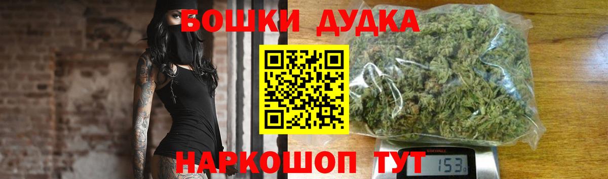 A PVP Алейск